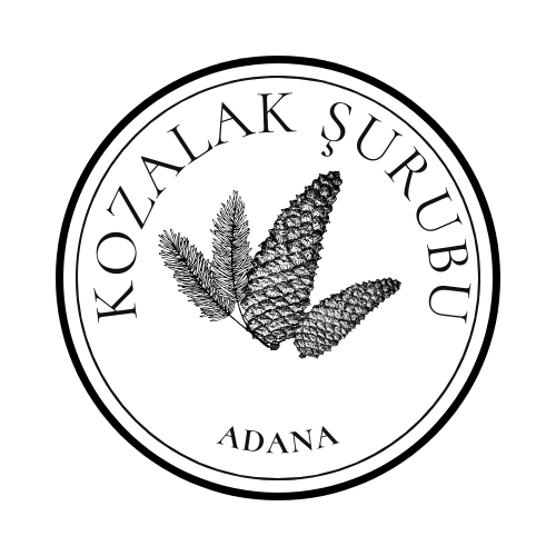 Kozalak Şurubu